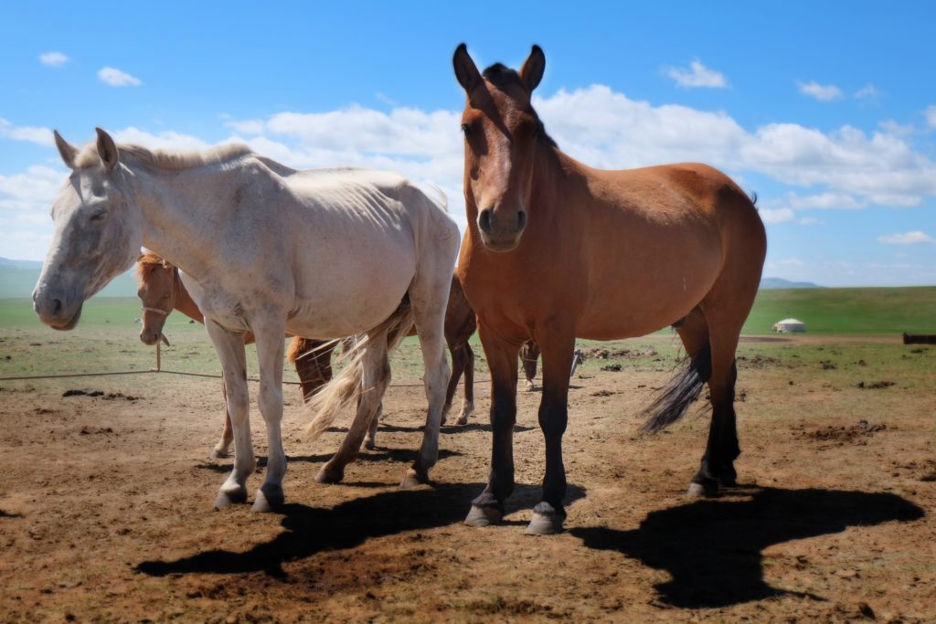 馬力 1分で知識王