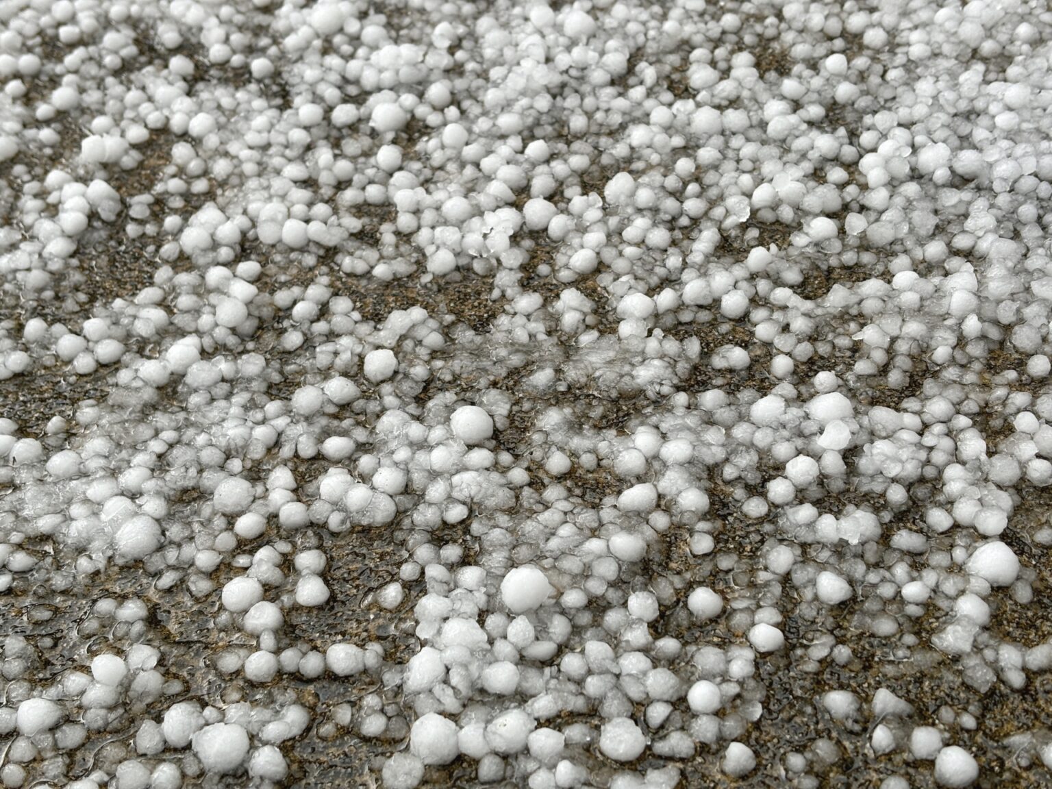 みぞれ あられ: 雹と雪の違い – ZSCCP
